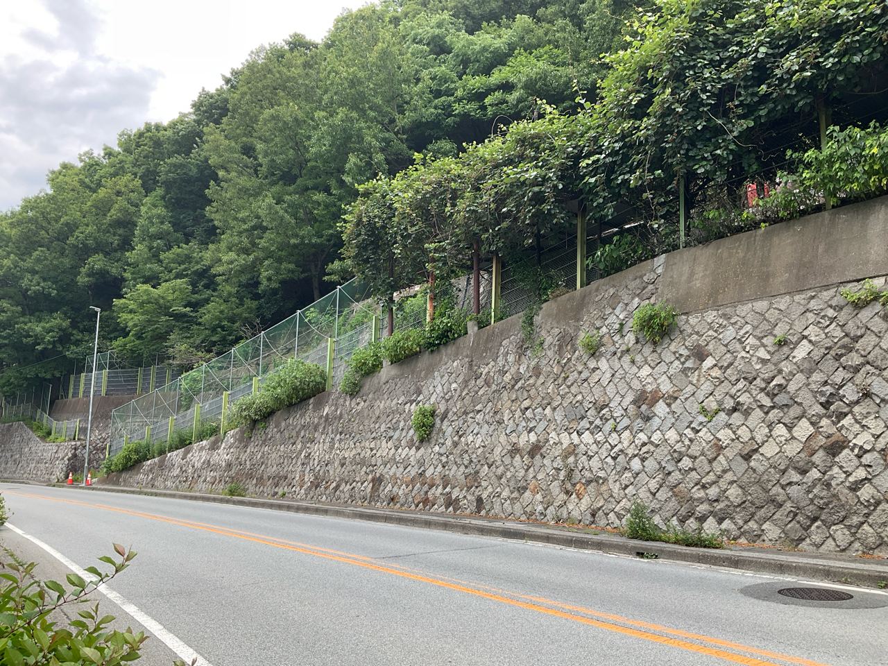 画像 (Ｒ６大和国道出張所管内防災他工事)